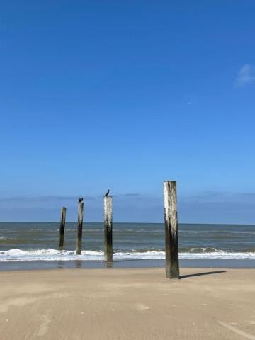 Appartement De Zeemeermin, Free Parking Zandvoort Luaran gambar
